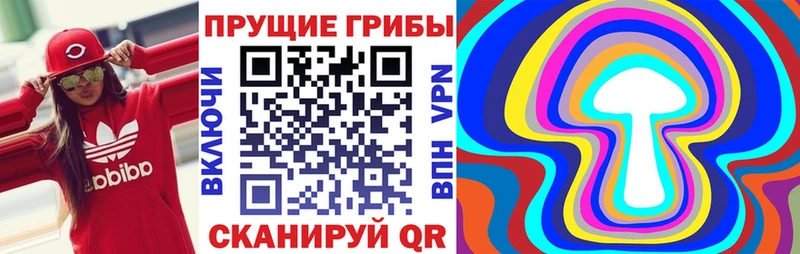Псилоцибиновые грибы Psilocybe  OMG ссылка  Заозёрный 